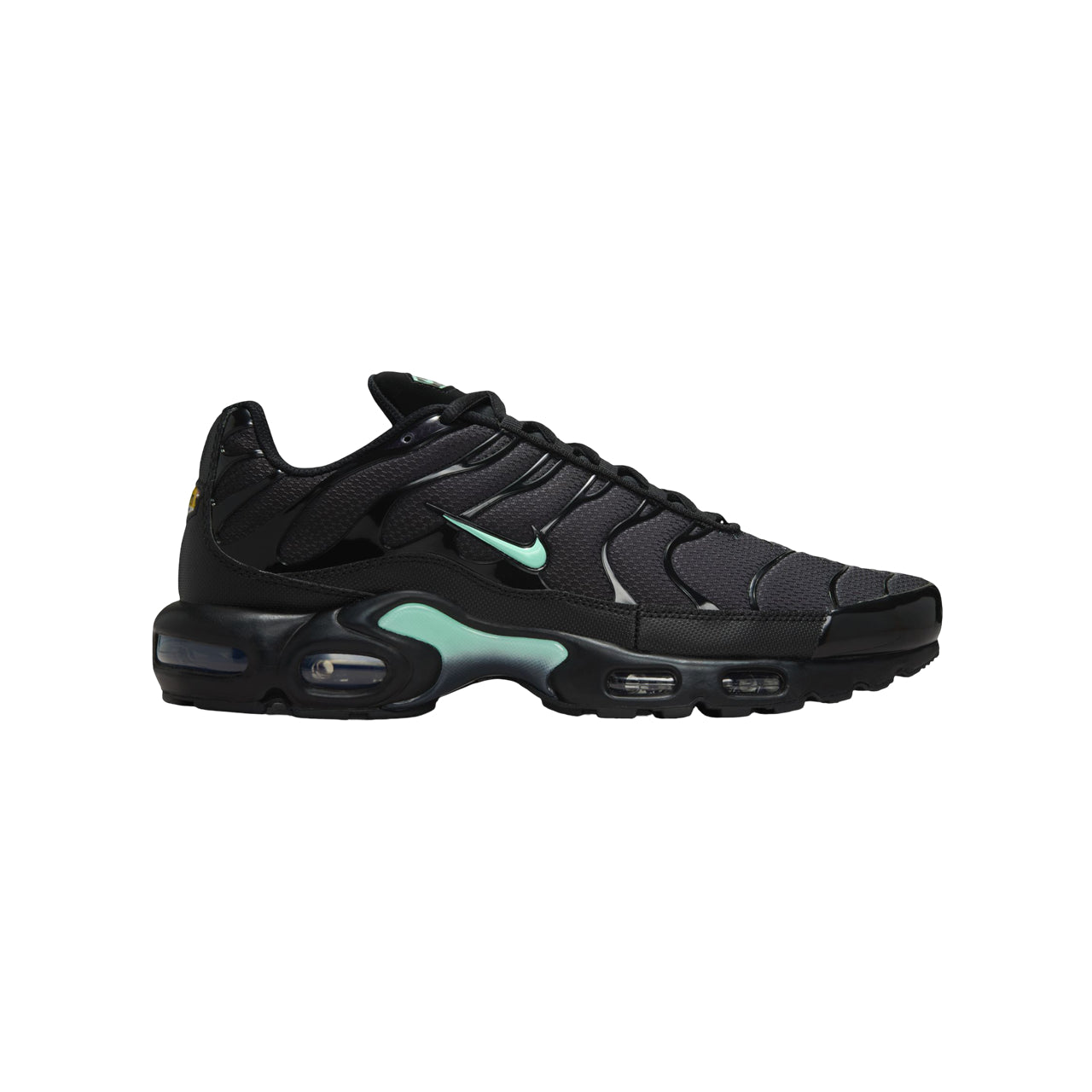 Nike Air Max TN Plus "Black & Mint Foam"